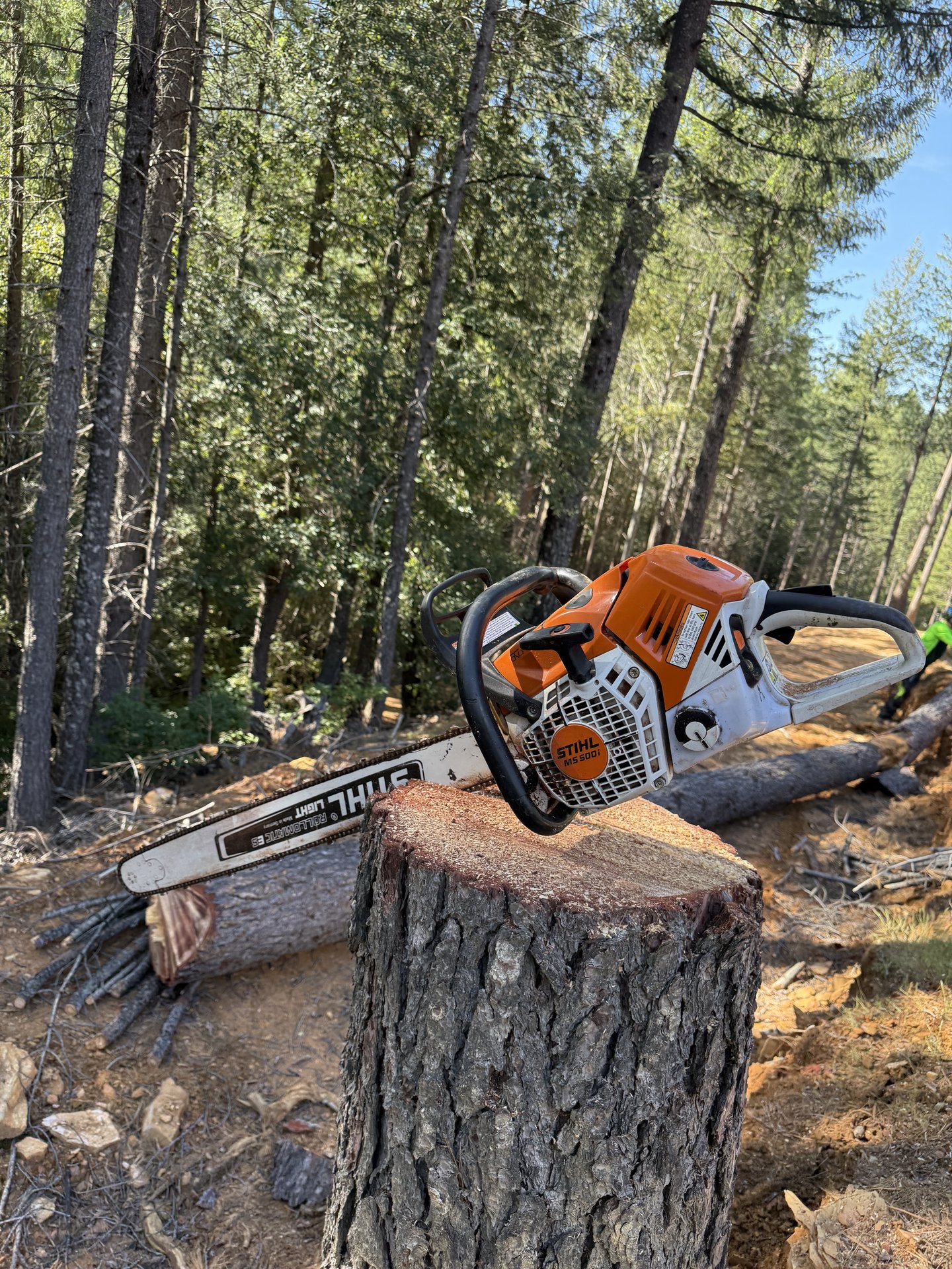 Land Clearing & Fire Prevention