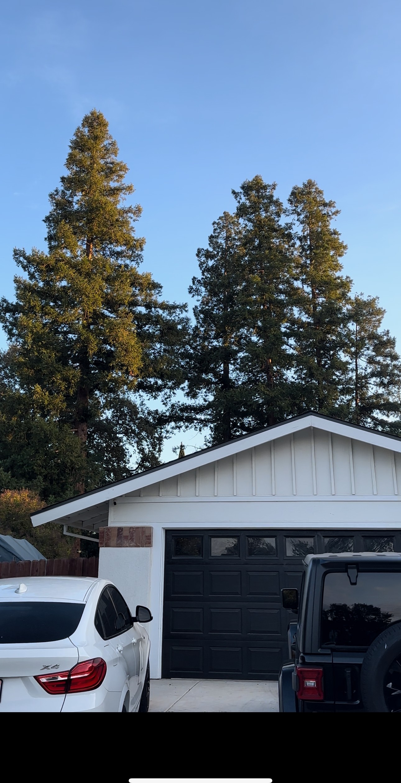 Tall redwood-style trees behind a modern home and garage