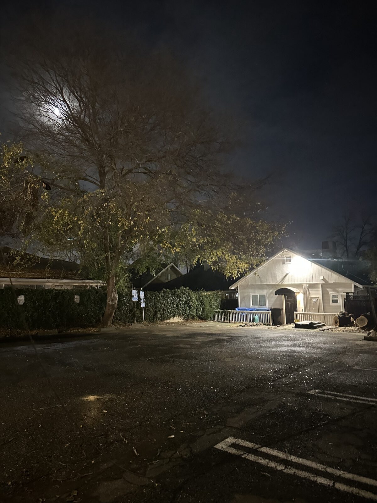 Emergency tree work completed at night